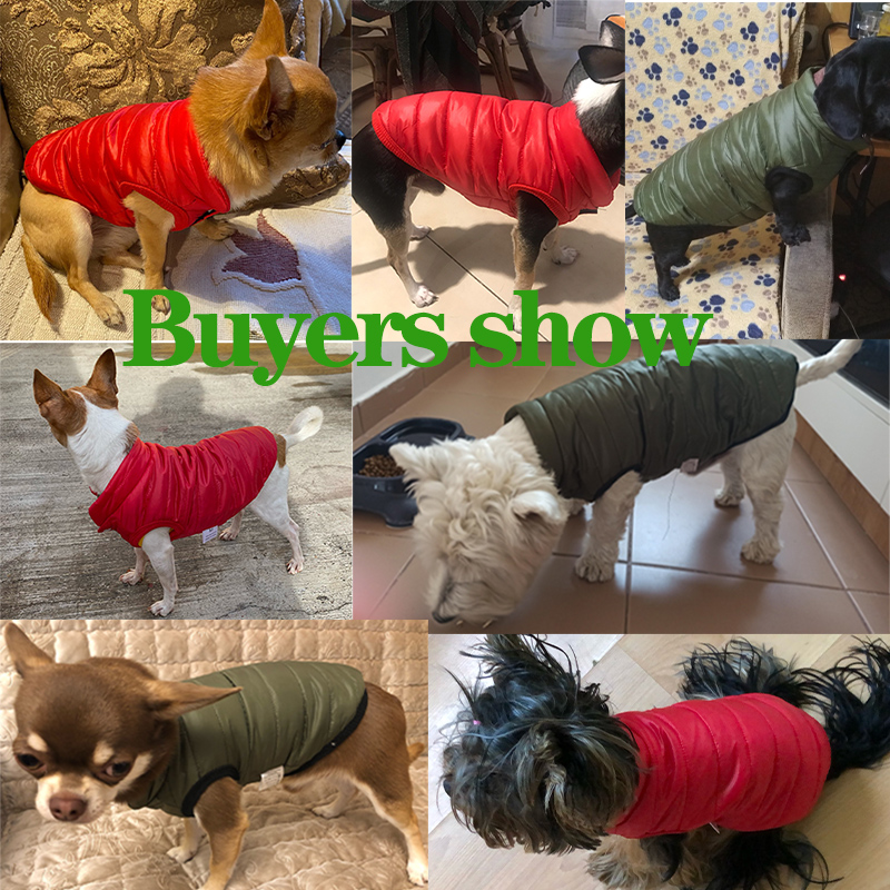 เสื้อกั๊กสุนัขแบบอุ่นสำหรับฤดู - Winter Clothing In French บทวิจารณ์และราคา
