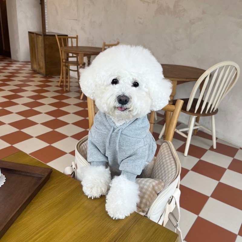เสื้อฮู้ดลายตัวอักษร เสื้อผ้าส - Winter Clothing In French บทวิจารณ์และราคา