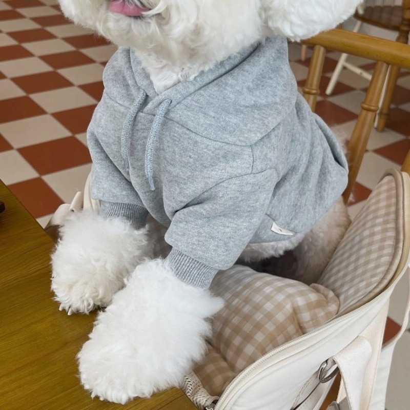 เสื้อฮู้ดลายตัวอักษร เสื้อผ้าส - Winter Clothing In French บทวิจารณ์และราคา