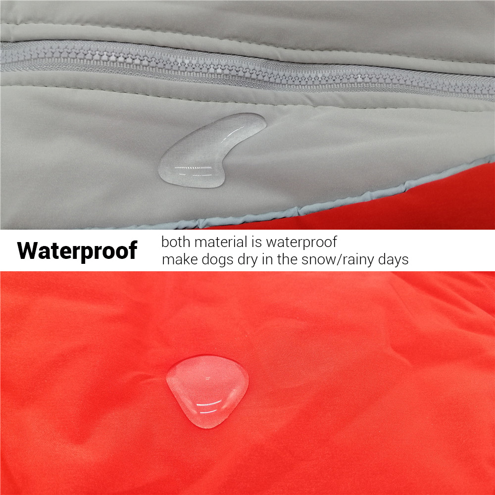 เสื้อผ้าสุนัขสำหรับสุนัขฤดูหนา - Winter Clothing In French บทวิจารณ์และราคา